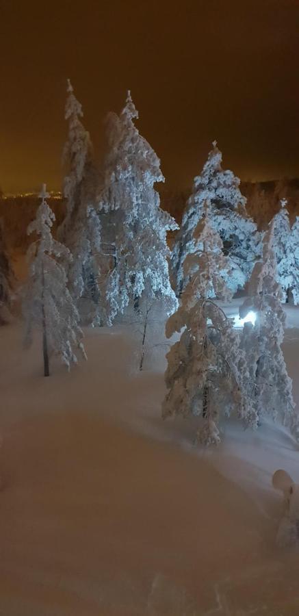 Apartman Mina Divčibare Exteriör bild